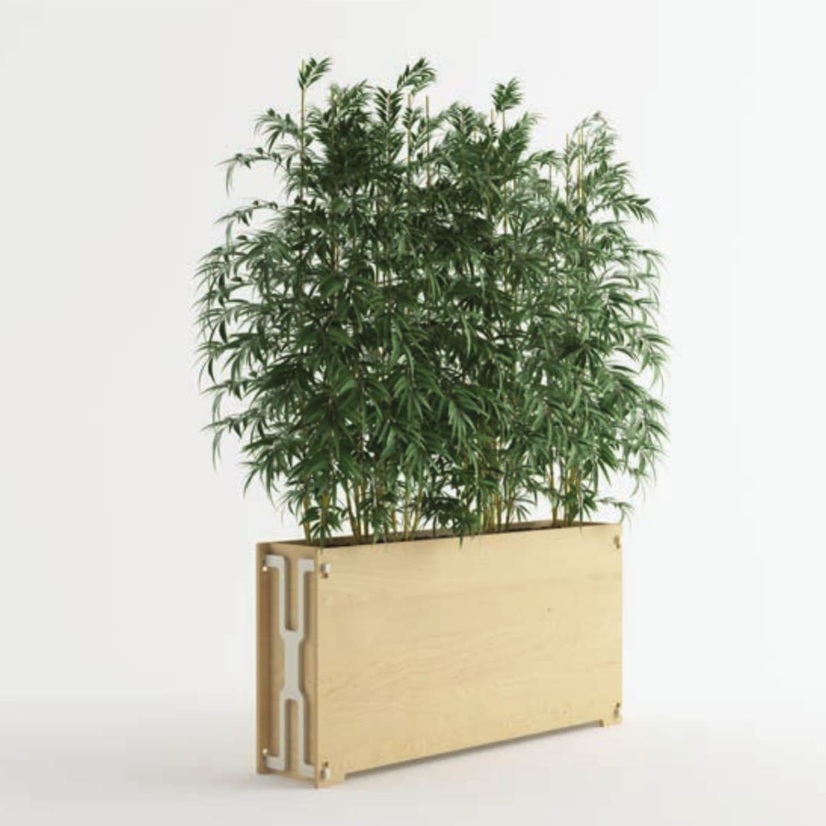 The Slender Planter with bamboo