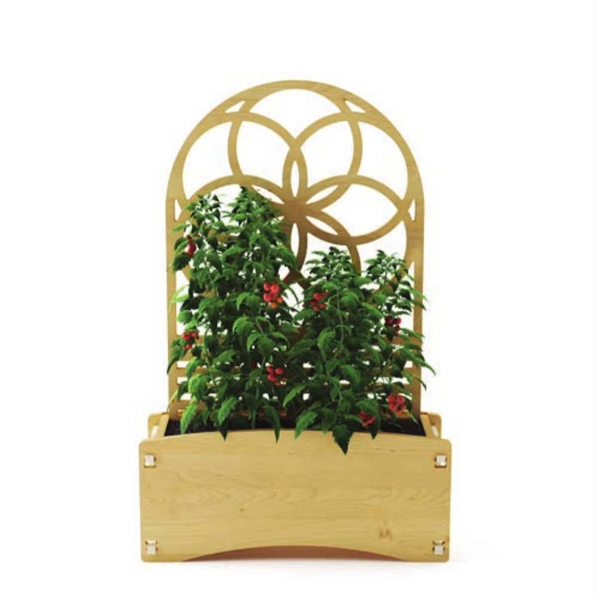 The Trellis Planter with tomatoes