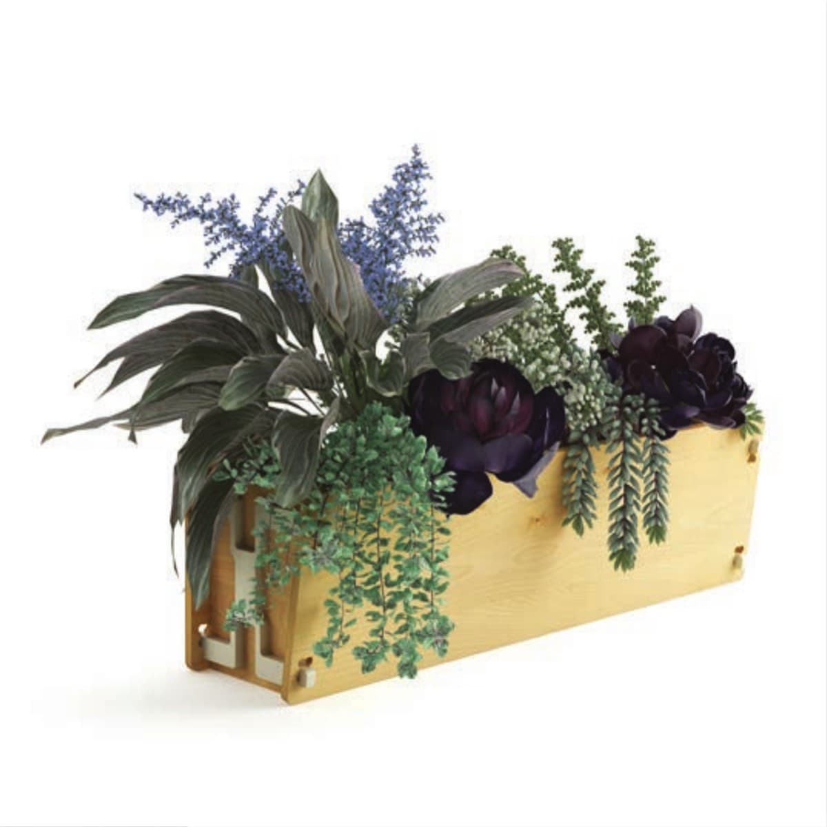 The Wall Garden Trough, planted