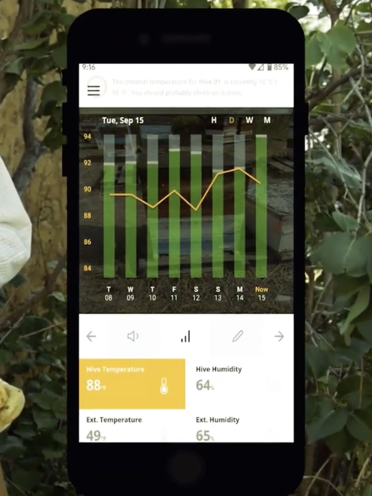 A temperature alert on the phone in a bee yard, telling the beekeeper the hive has dropped to 10C and to check on it