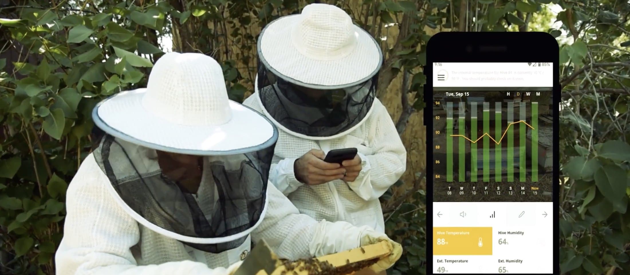 Two beekeepers lifting a frame of bees, one checking hive readings on a phone