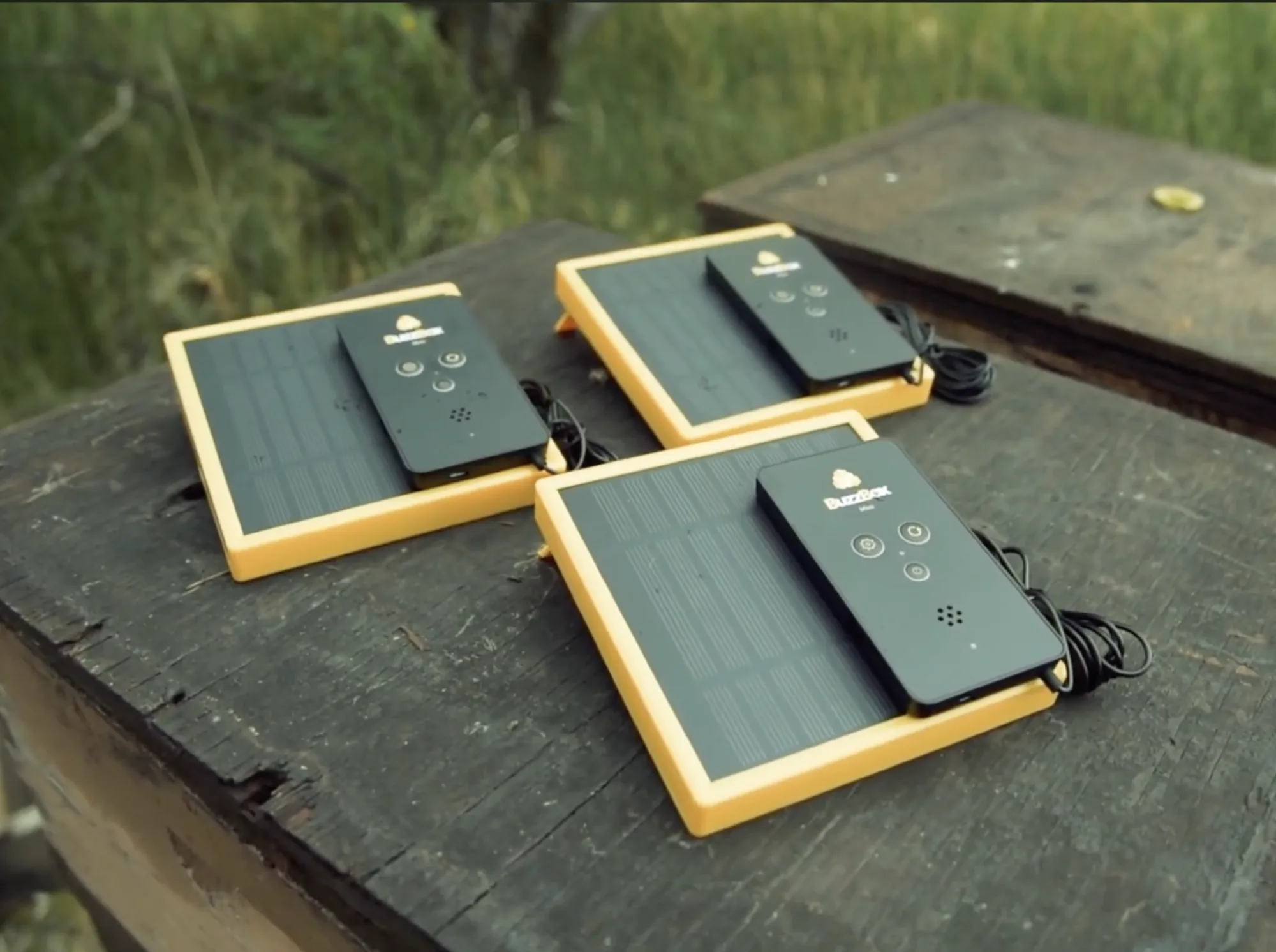 Three BuzzBox Mini units, each an integrated solar panel and sensor board, resting on a weathered hive lid in a meadow
