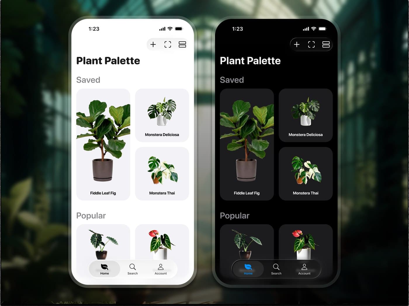 A houseplant app in light and dark, showing a saved-plants grid over a forest backdrop